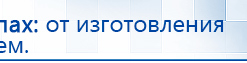 СКЭНАР-1-НТ (исполнение 01 VO) Скэнар Мастер купить в Барнауле, Аппараты Скэнар купить в Барнауле, Дэнас официальный сайт denasolm.ru